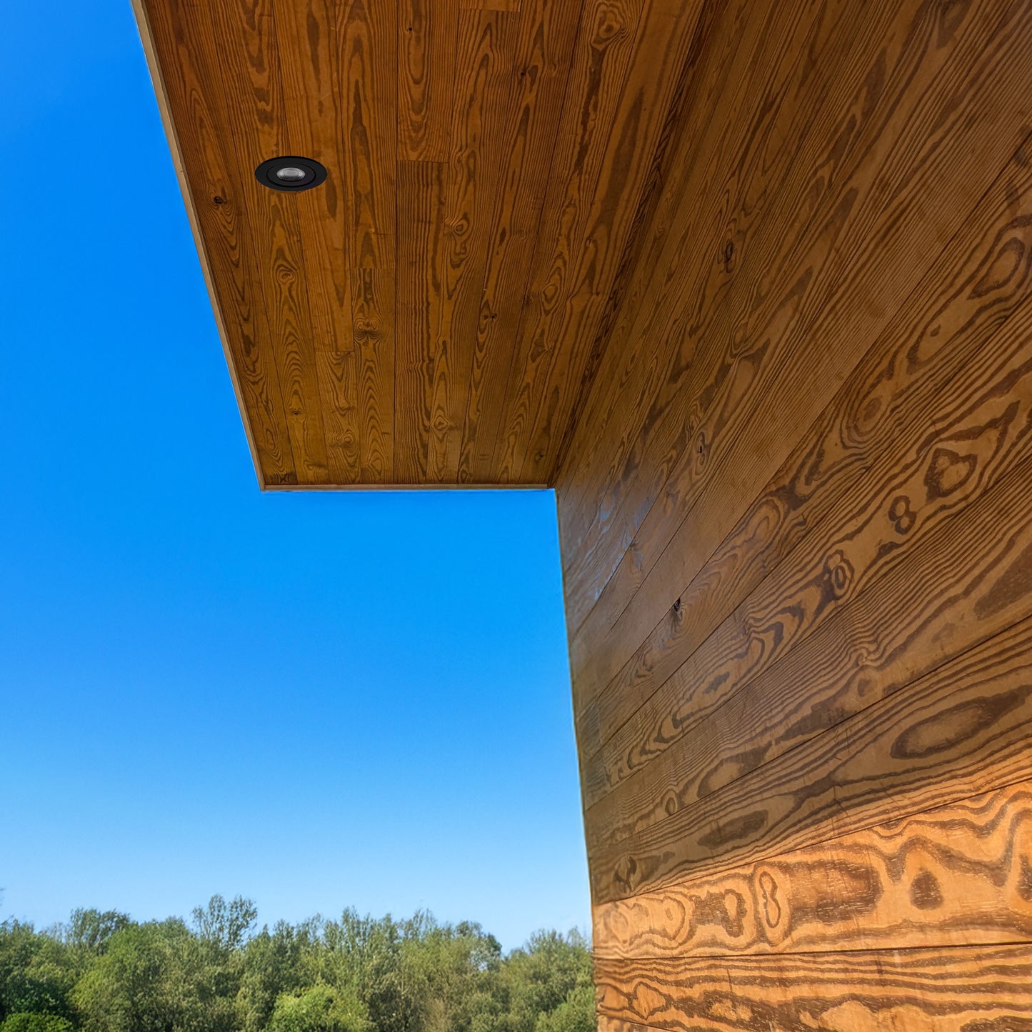 Advantage Thermally Modified Pine, 1x6 Shiplap