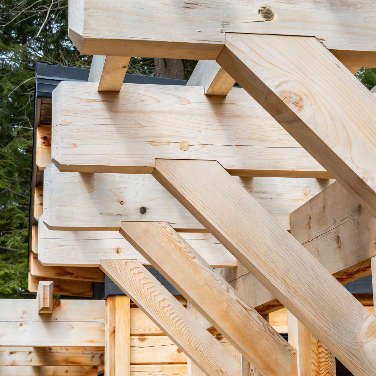 3x6 Western Red Cedar - Select Knotty (STK) Appearance Grade - Rough/Green