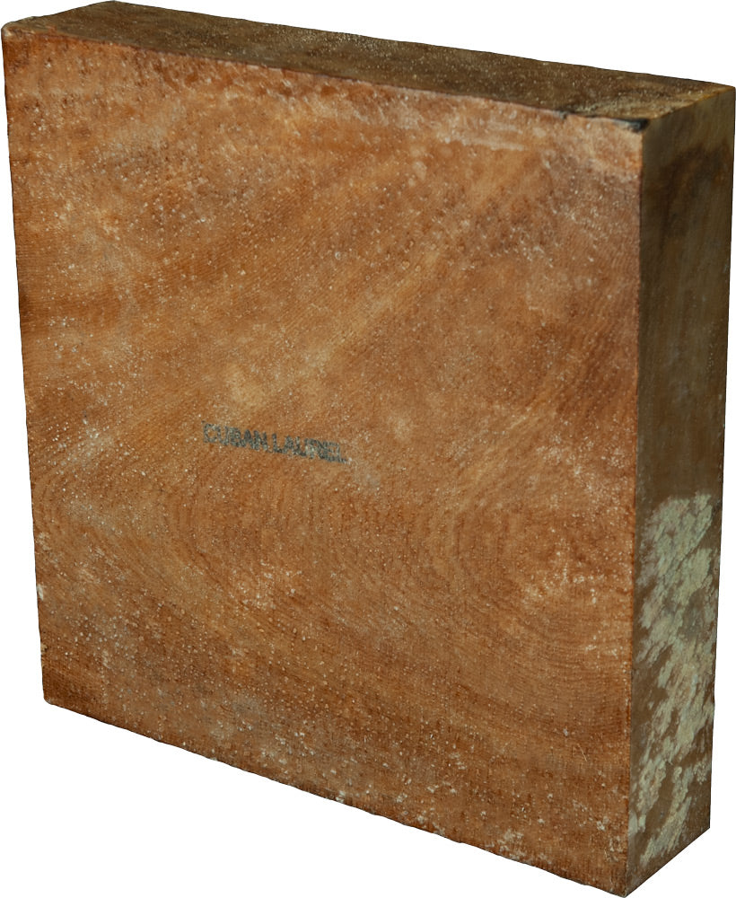 2″ x 10″ x 10″ Cuban Laurel Turning Blank