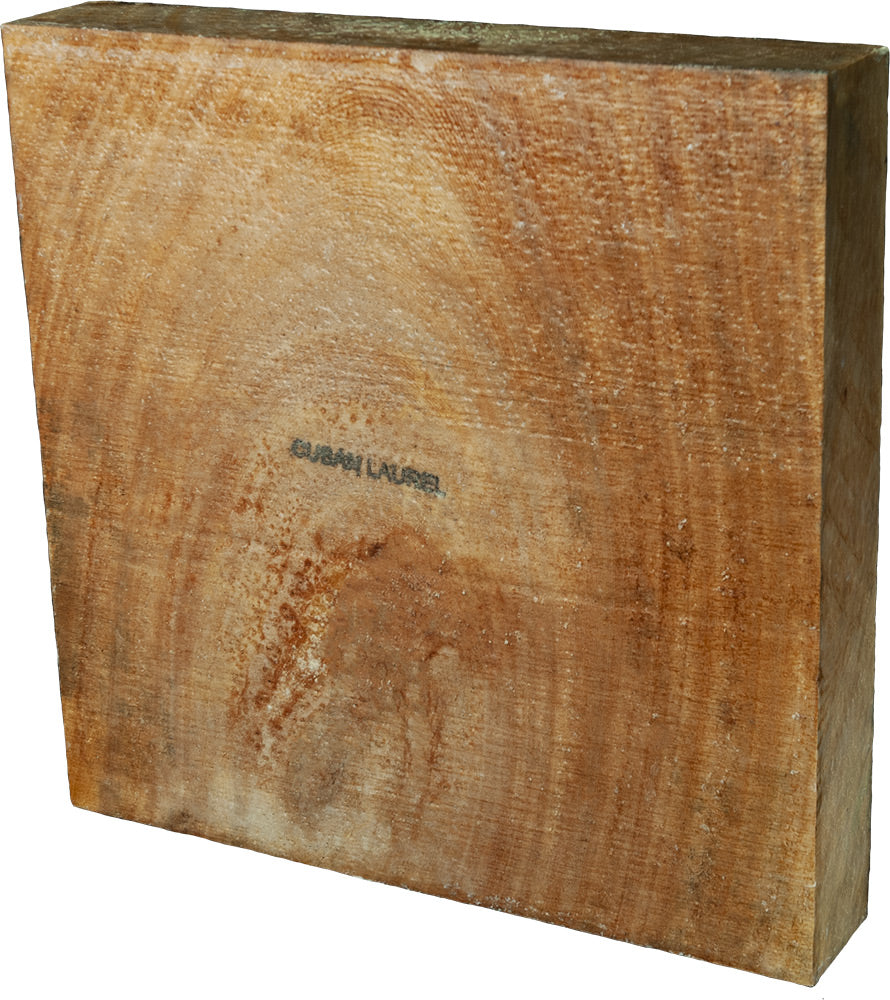 2″ x 12″ x 12″ Cuban Laurel Turning Blank