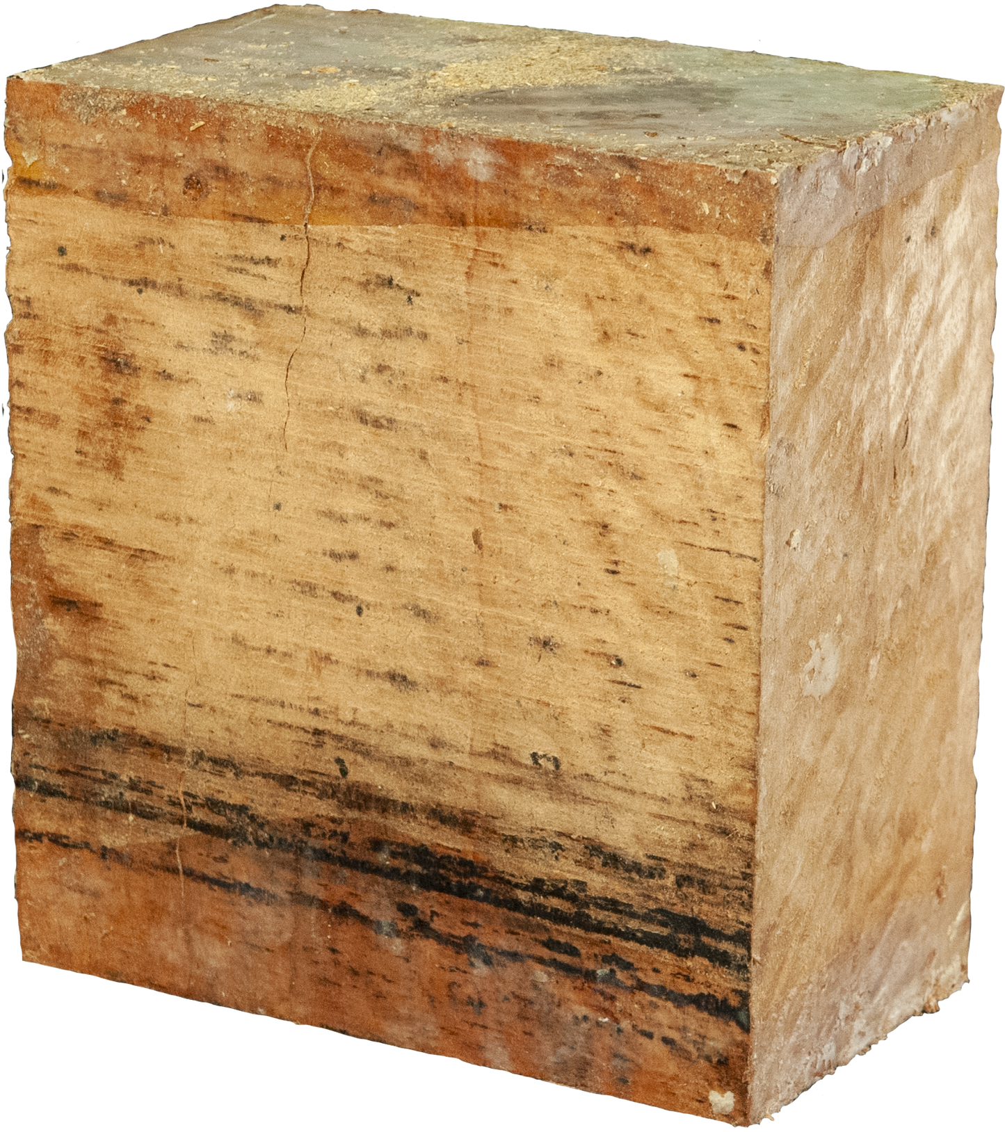 3″ x 6″ x 6″ Eucalyptus Turning Blank