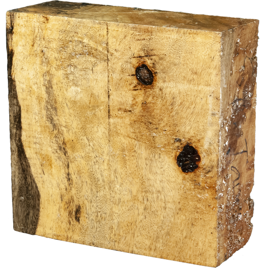 3″ x 8″ x 8″ Spalted Tamarind Turning Blank