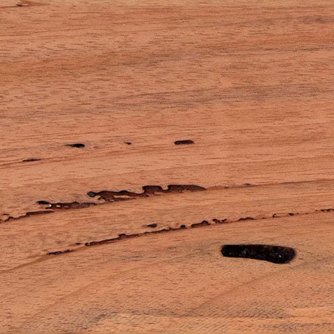 8/4 Pecky Bolivian Walnut Lumber - Advantage Lumber