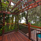 1 x 4 +Plus® Cumaru Wood Decking Shorts