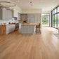 Brazilian Oak (Tauari) Mist Engineered Flooring 0.5625″ x 7″ Prefinished, Matte, $5.97/sqft