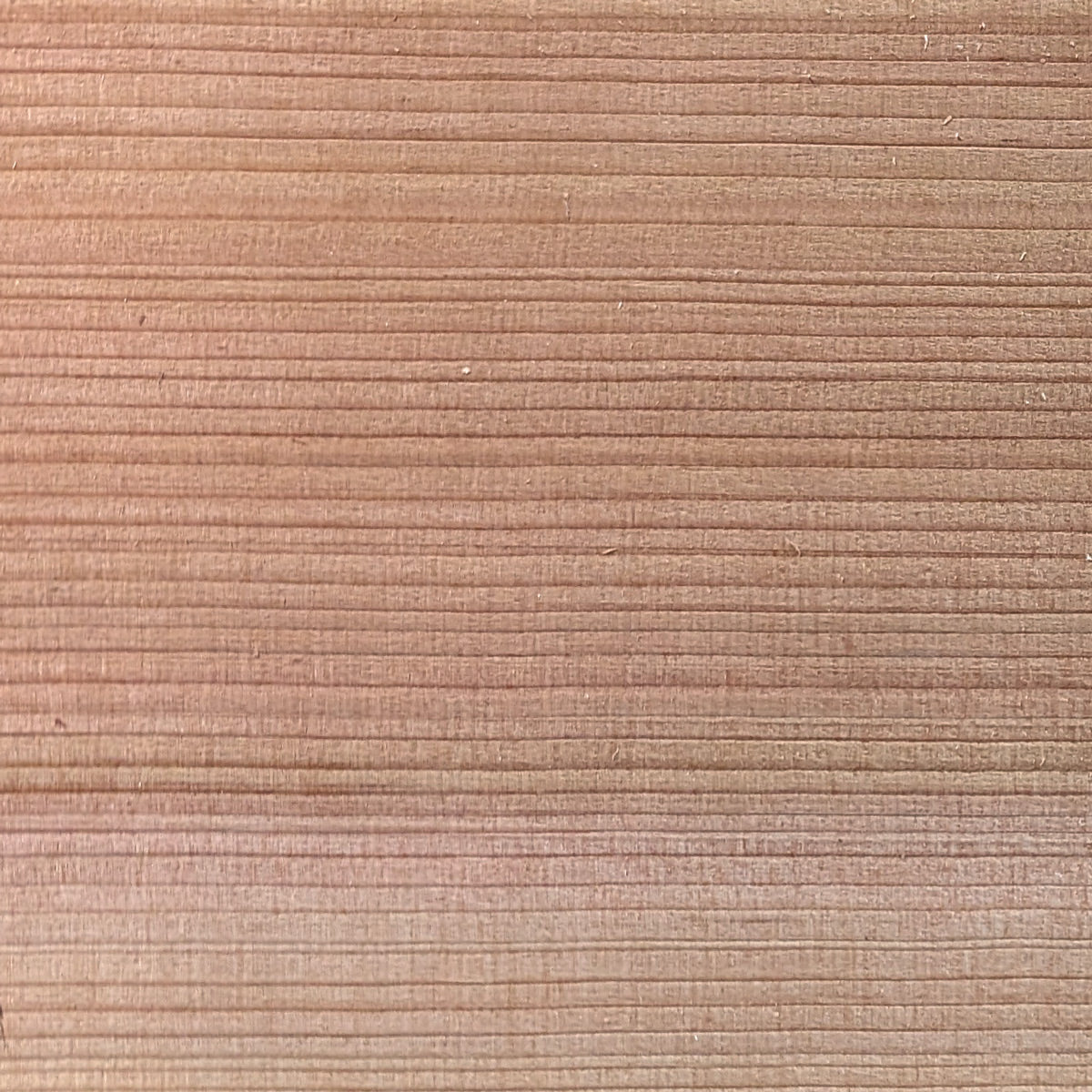 2x6 Western Red Cedar - Clear Vertical Grain (CVG) - S4S/KD