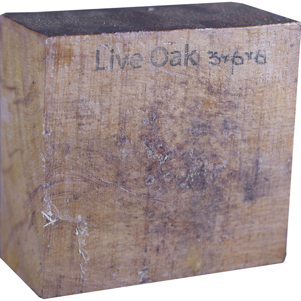 3″ x 6″ x 6″ Live Oak Turning Blank
