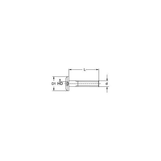 RAMPA® Type KF M6 ZINC Wood Insert Bolt Screws: (24) M6 x 20mm Bolt Screws (1) Allen key