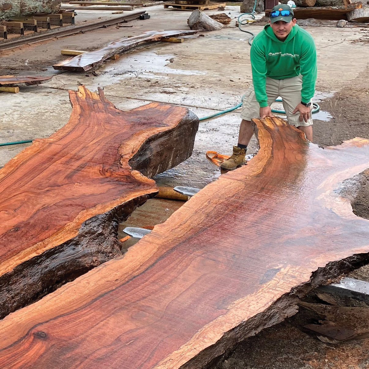 Shop Wood Slabs Advantage Lumber